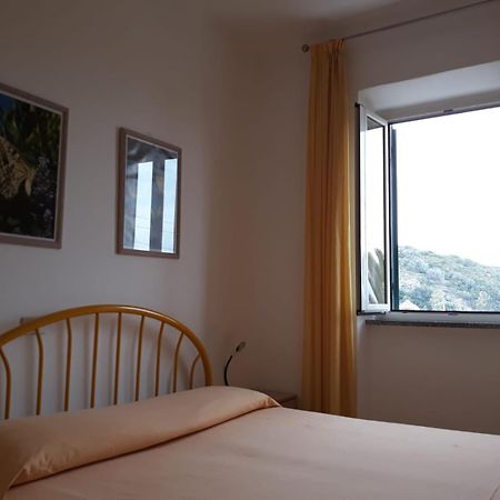 Appartement La Casa Del Sole à Pomonte Extérieur photo